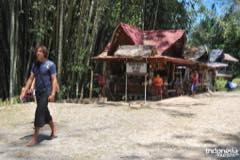 gallery/kambira_village/baby-grave-kambira-toraja-20.jpg