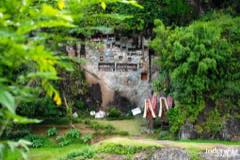 gallery/lemo/lemo-tomb-stone-toraja-03.jpg