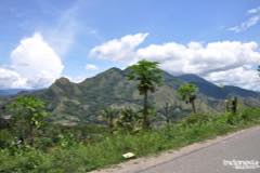 gallery/marengo/marengo_tana_toraja1.jpg