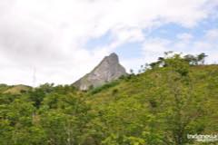 gallery/marengo/marengo_tana_toraja10.jpg