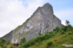 gallery/marengo/marengo_tana_toraja11.jpg