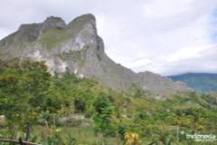 gallery/marengo/marengo_tana_toraja24.jpg