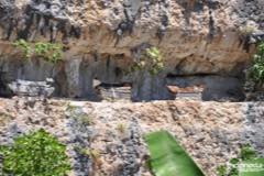 gallery/tontonan_rock/tontonan-rock-tombs-08.jpg